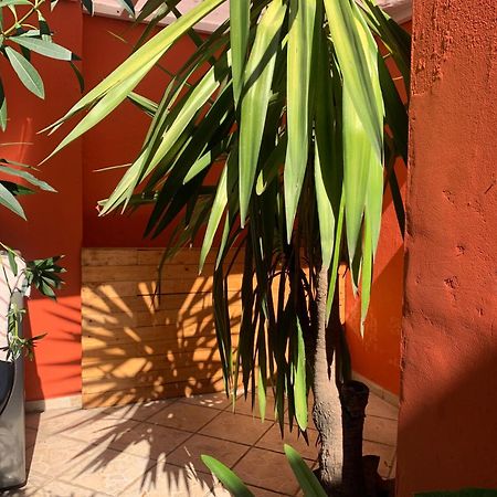 Villa Coyoacan Città del Messico Esterno foto