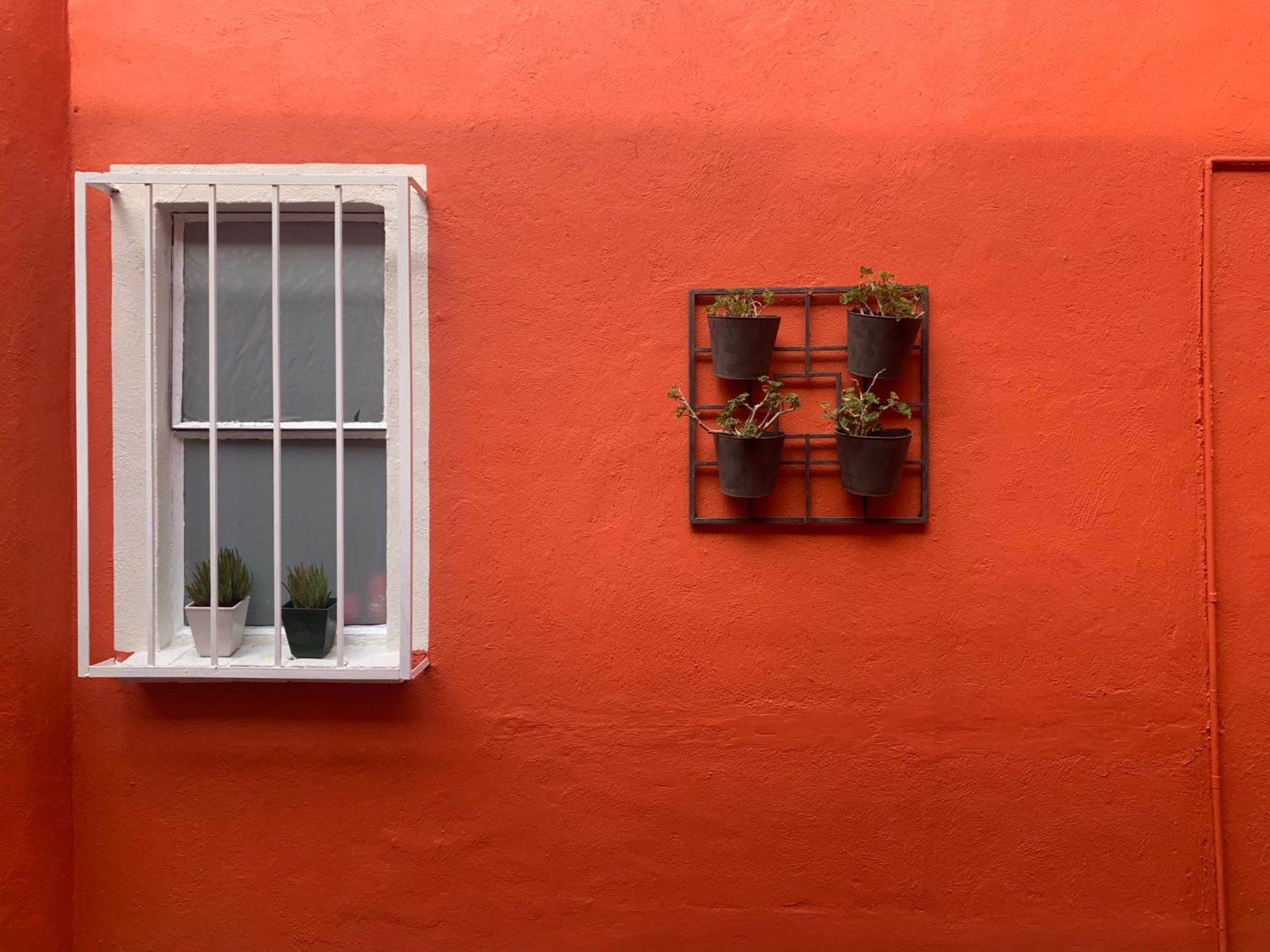 Villa Coyoacan Città del Messico Esterno foto