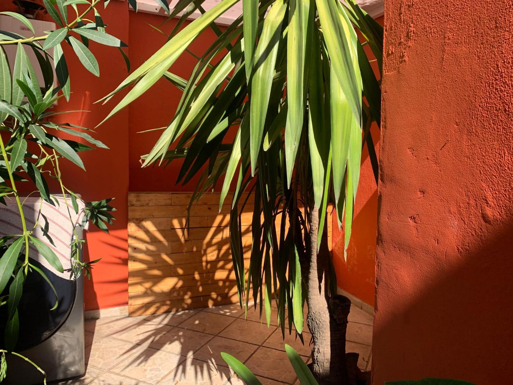 Villa Coyoacan Città del Messico Esterno foto