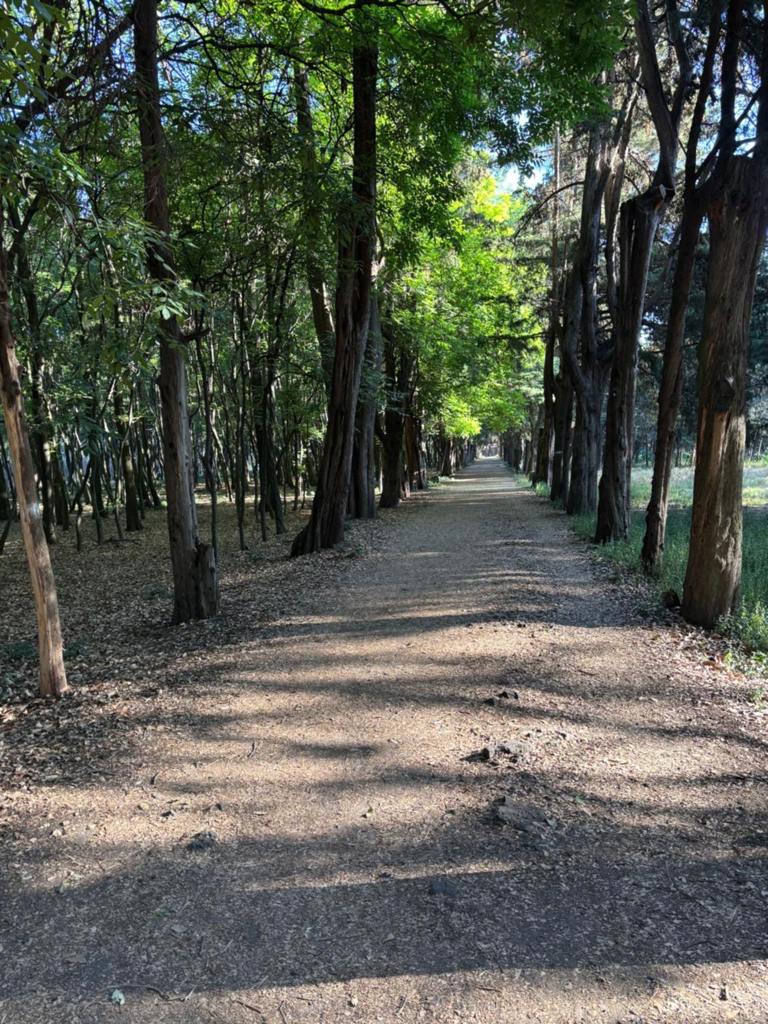 Villa Coyoacan Città del Messico Esterno foto