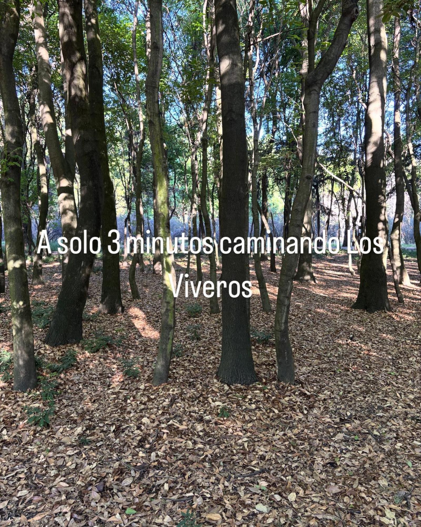 Villa Coyoacan Città del Messico Esterno foto